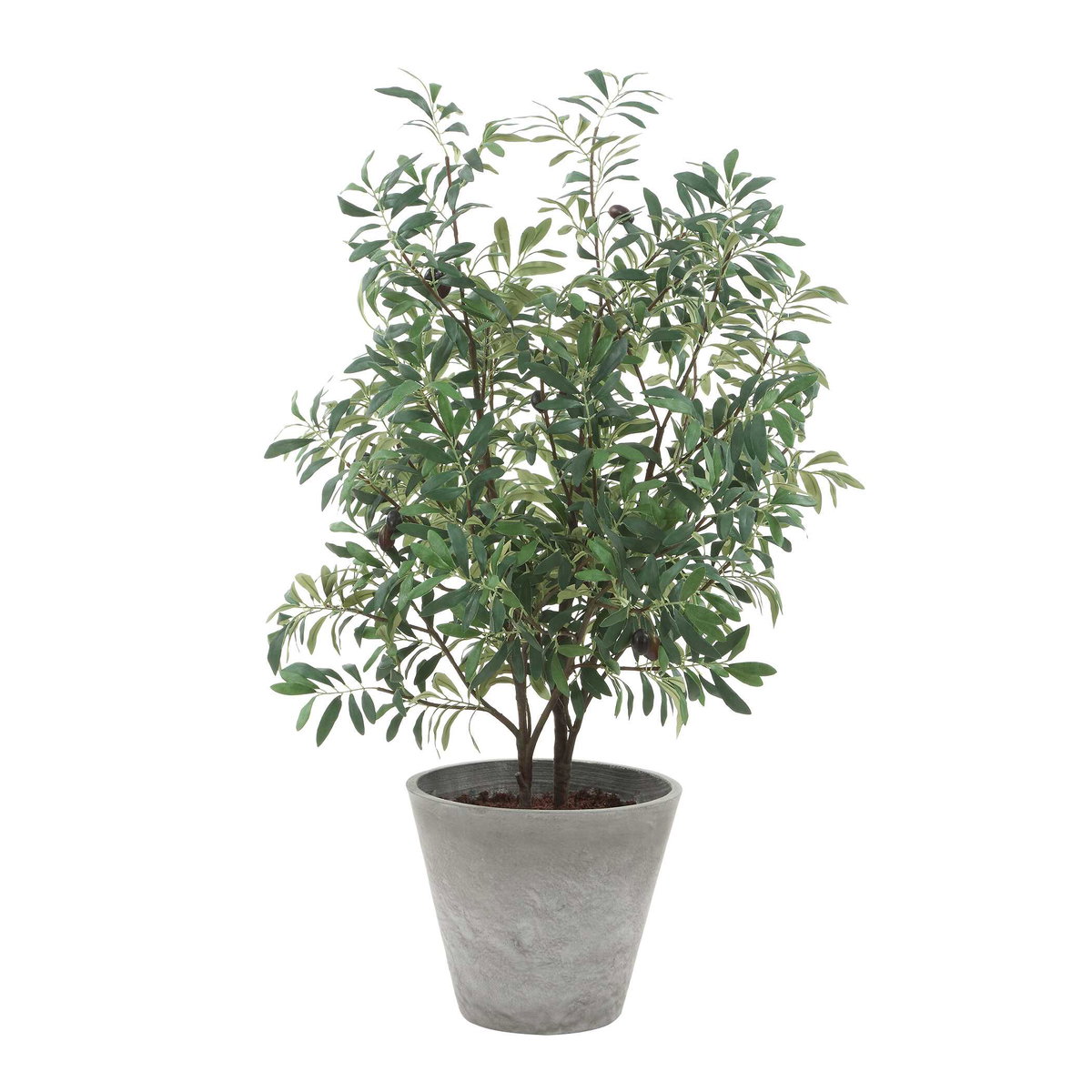 Marisol Potted Olive Plant, Artificial Plants & Flower by Uttermost, 28.5" width x 45.25" height x 26.5" depth View 1