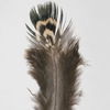 Birds Of A Feather Framed Prints Set/6 thumbnail 7