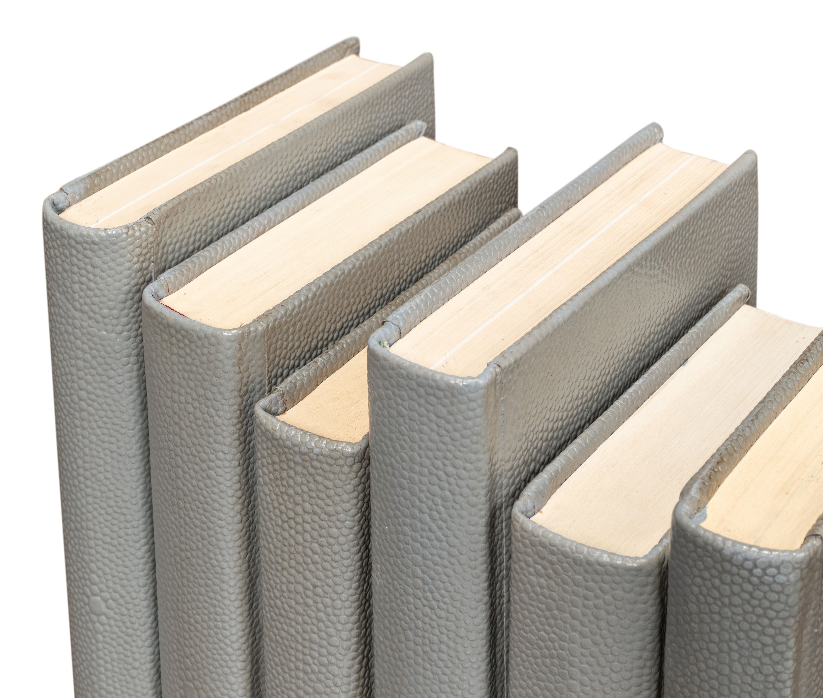 Shagreen Books, Set Of 12, Storm Grey large image 