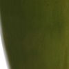 Adela Moss Green Table Lamp thumbnail 7