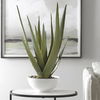 Evarado Aloe Planter thumbnail 1