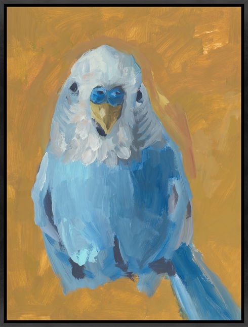 Chirp Chirp