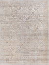 Firenze Machine Woven Rug, by Surya, 3'10.06" length x 2'7.5" width thumbnail