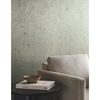 Burnished Patina Silver Wallpaper thumbnail 2