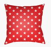 Americana II Accent Pillow thumbnail 0