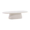 Turell Outdoor Coffee Table, by Dovetail, 55" width x 14" height x 25" depth thumbnail 1