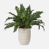 Verdure Fern In Glazed Pot, Artificial Plants & Flower by Uttermost, 18.75" width x 16.25" height x 18.75" depth thumbnail 1