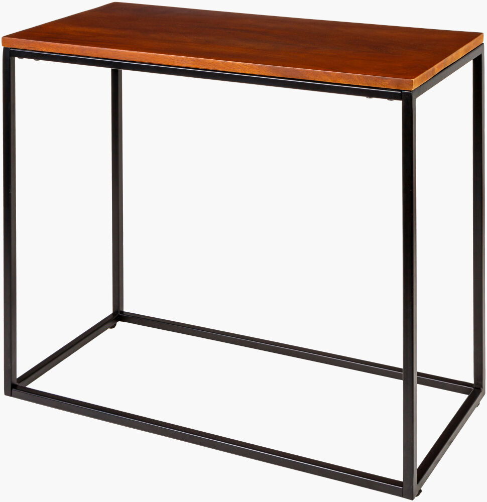 Aryaa End Table large image 