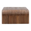 Wynne Coffee Table Brown, by Dovetail, 55.15" width x 16.4" height x 31.5" depth thumbnail 3