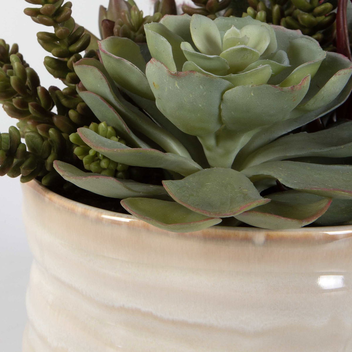 Mesa Succulent Accent, Artificial Plants & Flower by Uttermost, 9.5" width x 8.5" height x 9.5" depth View 5
