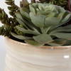 Mesa Succulent Accent, Artificial Plants & Flower by Uttermost, 9.5" width x 8.5" height x 9.5" depth thumbnail 5