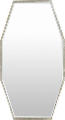 Online Designer Kitchen Adams Mirrors 30" x 55"