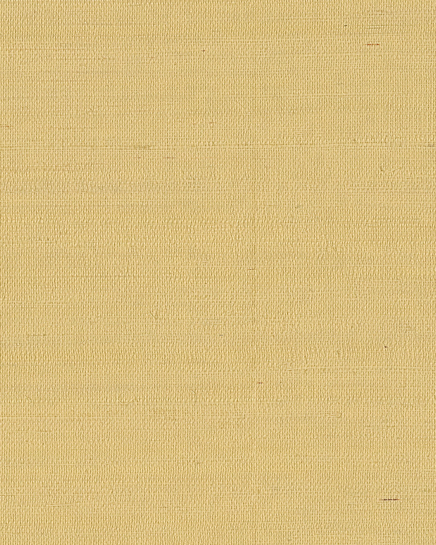 Maguey Sisal Straw Wallpaper large image 
