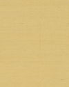 Maguey Sisal Straw Wallpaper thumbnail 0