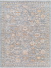 Chapel Hill Machine Woven Rug, by Surya, 6'11.86" length x 5'2.99" width thumbnail