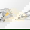 Fozzil 9L x 9W Resin Sabretooth Skull Replica thumbnail 5
