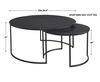 Barnette Modern Nesting Coffee Tables S/2 thumbnail 2