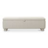 Ichigo Storage Bench Light Grey, Benche by Moe's Home, 59" width x 18" height x 20" depth thumbnail 1