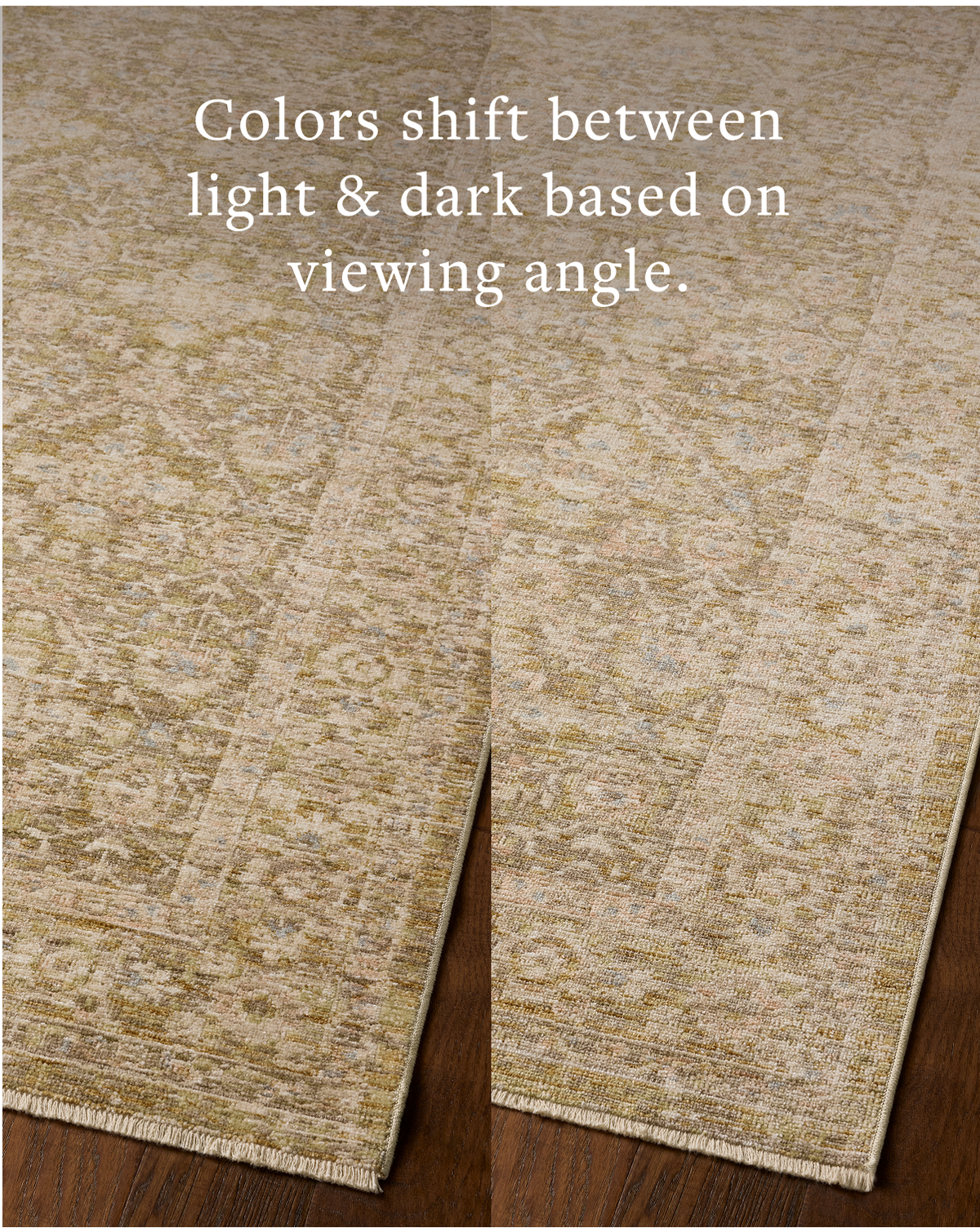Loloi Elora Rug, 1'6" length x 1'6" width View 9