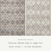 Angela Rose x Loloi Rivers Rug, 2'6" length x 7'6" width thumbnail 3