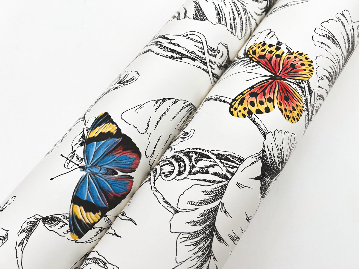 Papillon Primary Wallpaper, by York Wall, 27' length x 2'3" width x 0.02" depth View 2