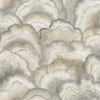 Abalone Smokey Fans Wallpaper thumbnail 0
