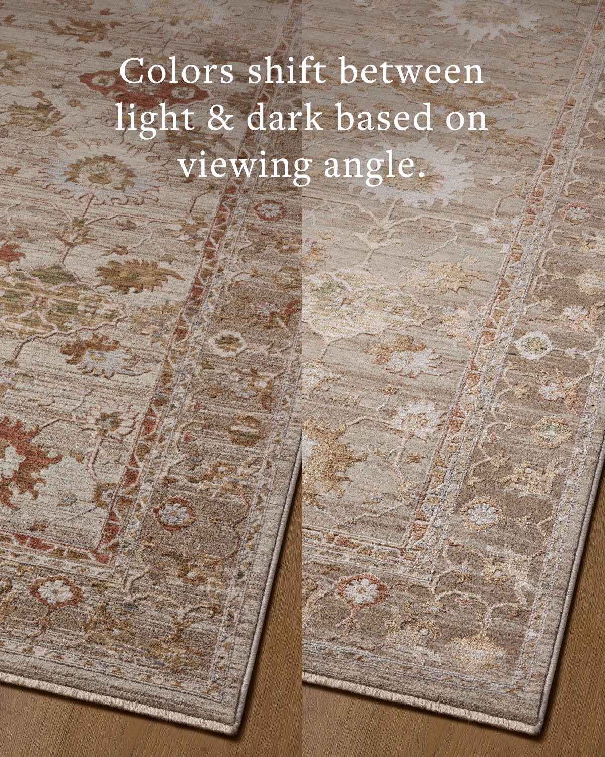 Loloi Aylin Rug, 7'9" length x 7'9" width View 5