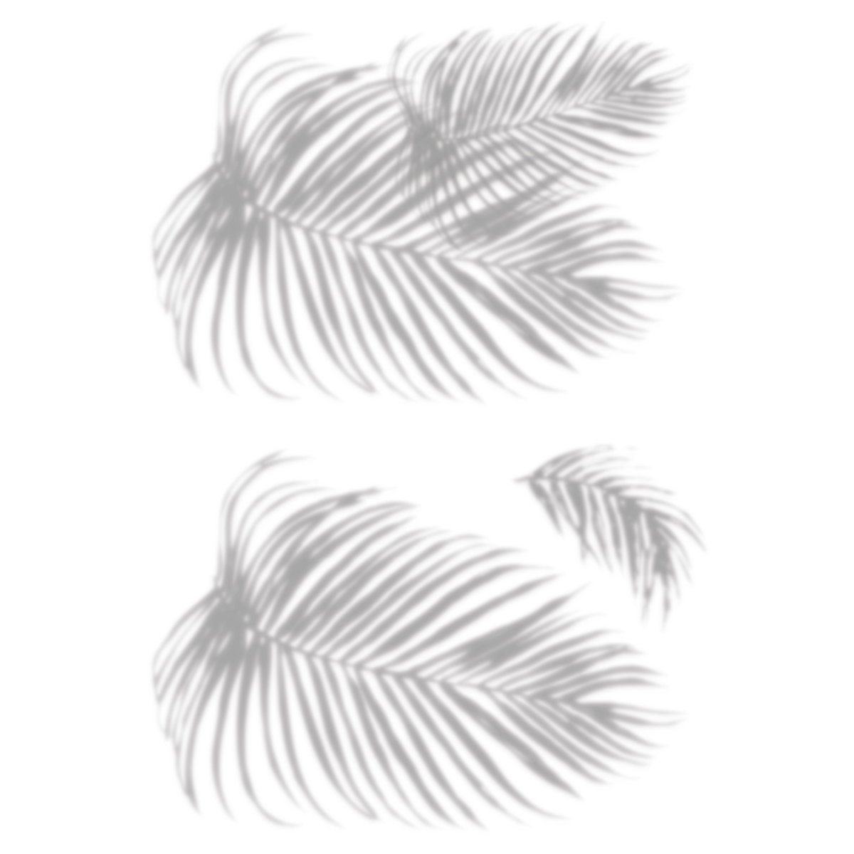 Tropical Shadow Palm Frond Wall Decals, by York Wall, 3' length x 2'2.12" width x 1'0.43" depth