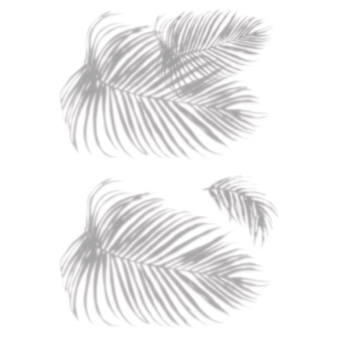 Tropical Shadow Palm Frond Wall Decals