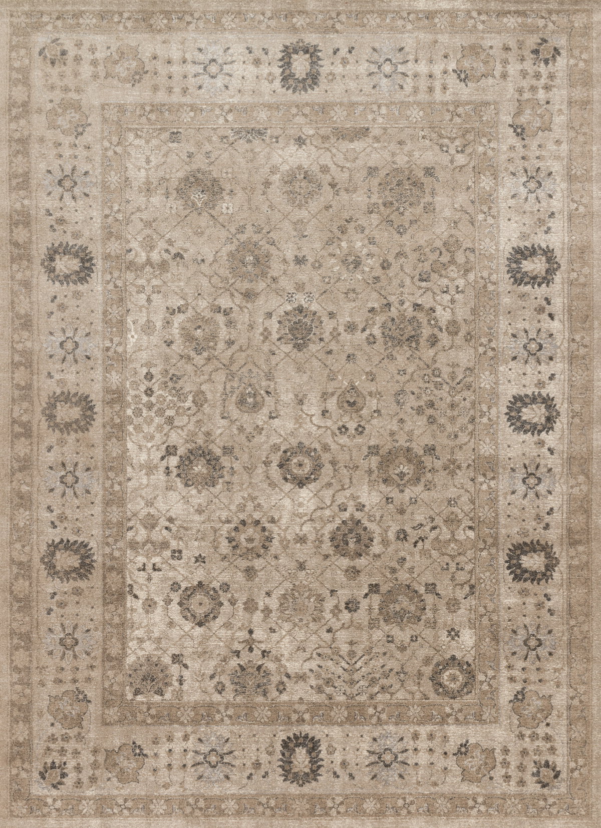 Loloi II Century Rug, 9'3" length x 9'3" width View 1