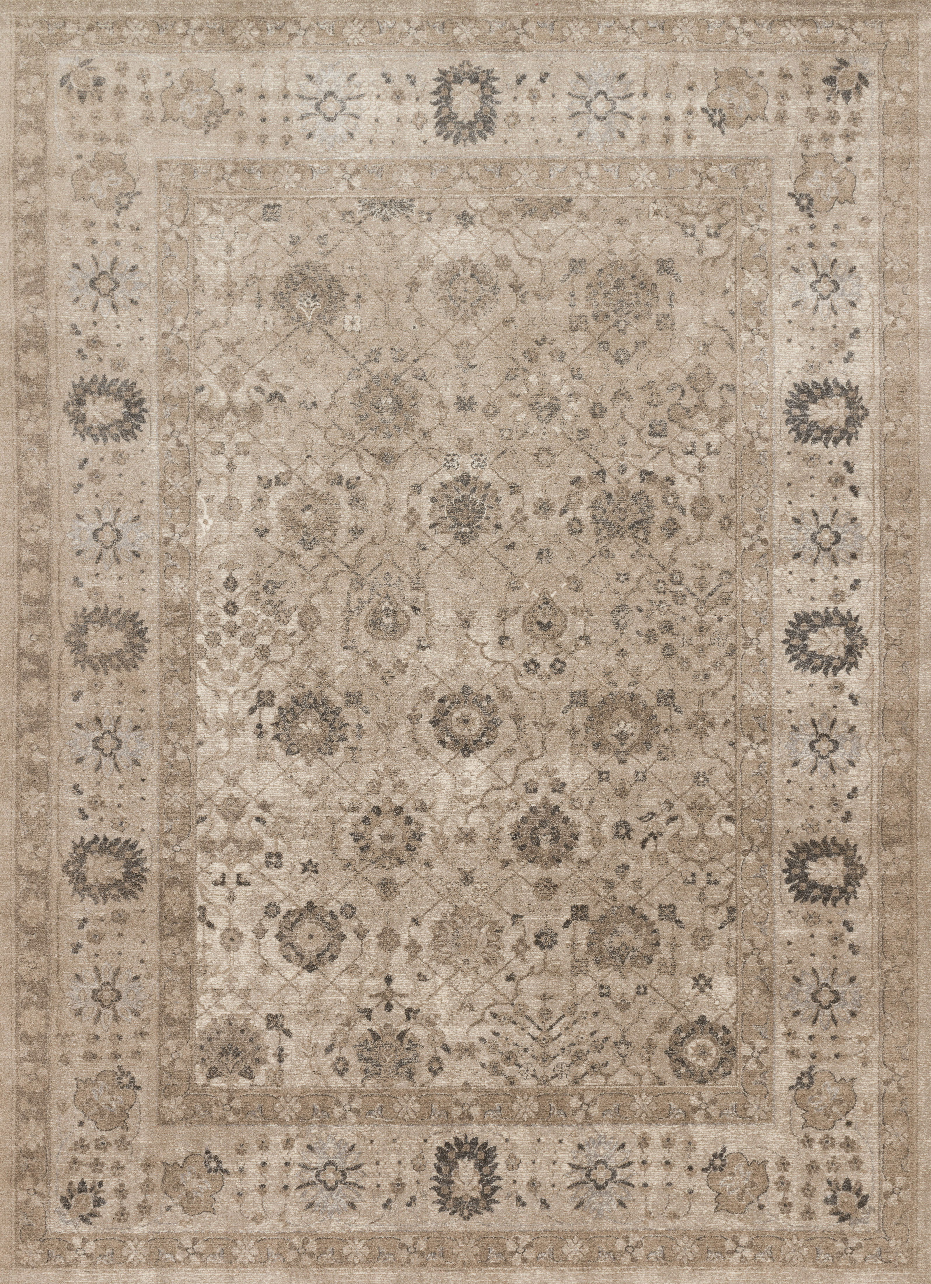 Loloi II Century Rug, 9'3" length x 9'3" width