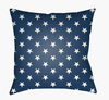 Americana II Accent Pillow thumbnail 0