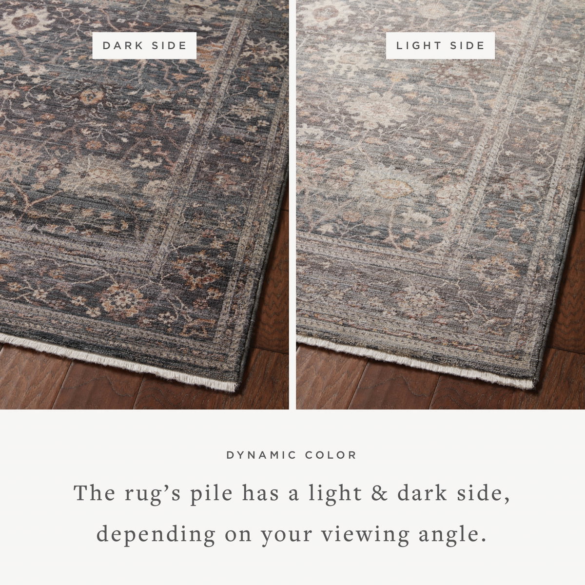 Loloi Lyra Rug, 1'6" length x 1'6" width View 2