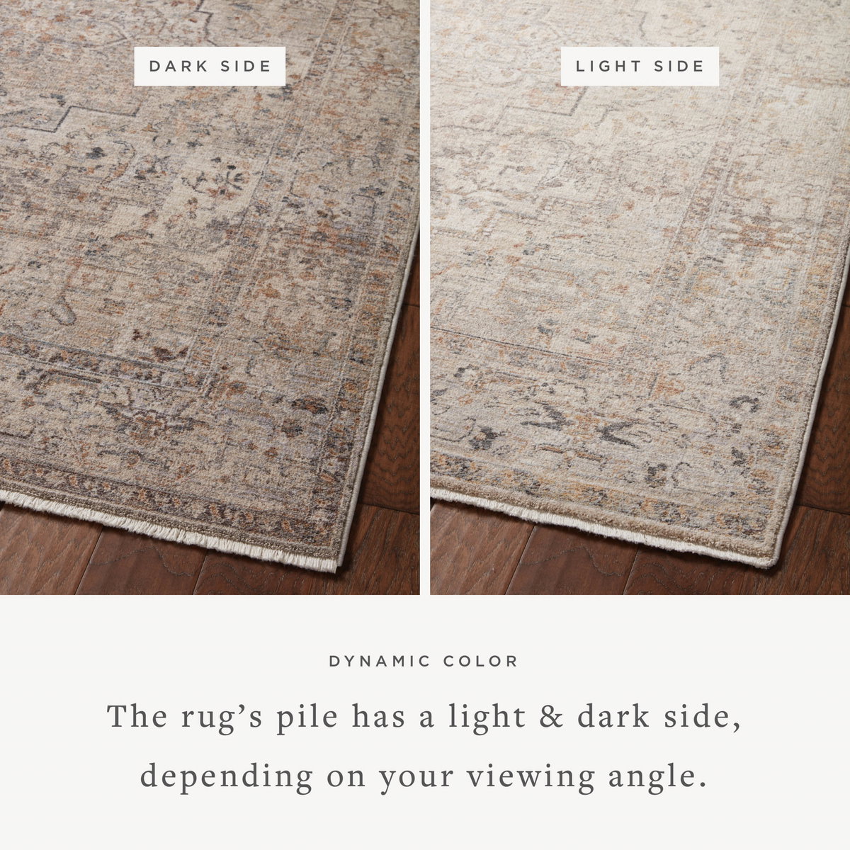Loloi Lyra Rug, 2'7" length x 10' width View 2