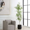 Boreal Potted Birch Tree, Artificial Plants & Flower by Uttermost, 28.5" width x 86.25" height x 28.5" depth thumbnail 3