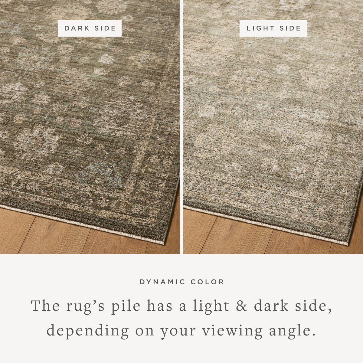 Loloi Priscilla Rug, 2'6" length x 10' width View 4