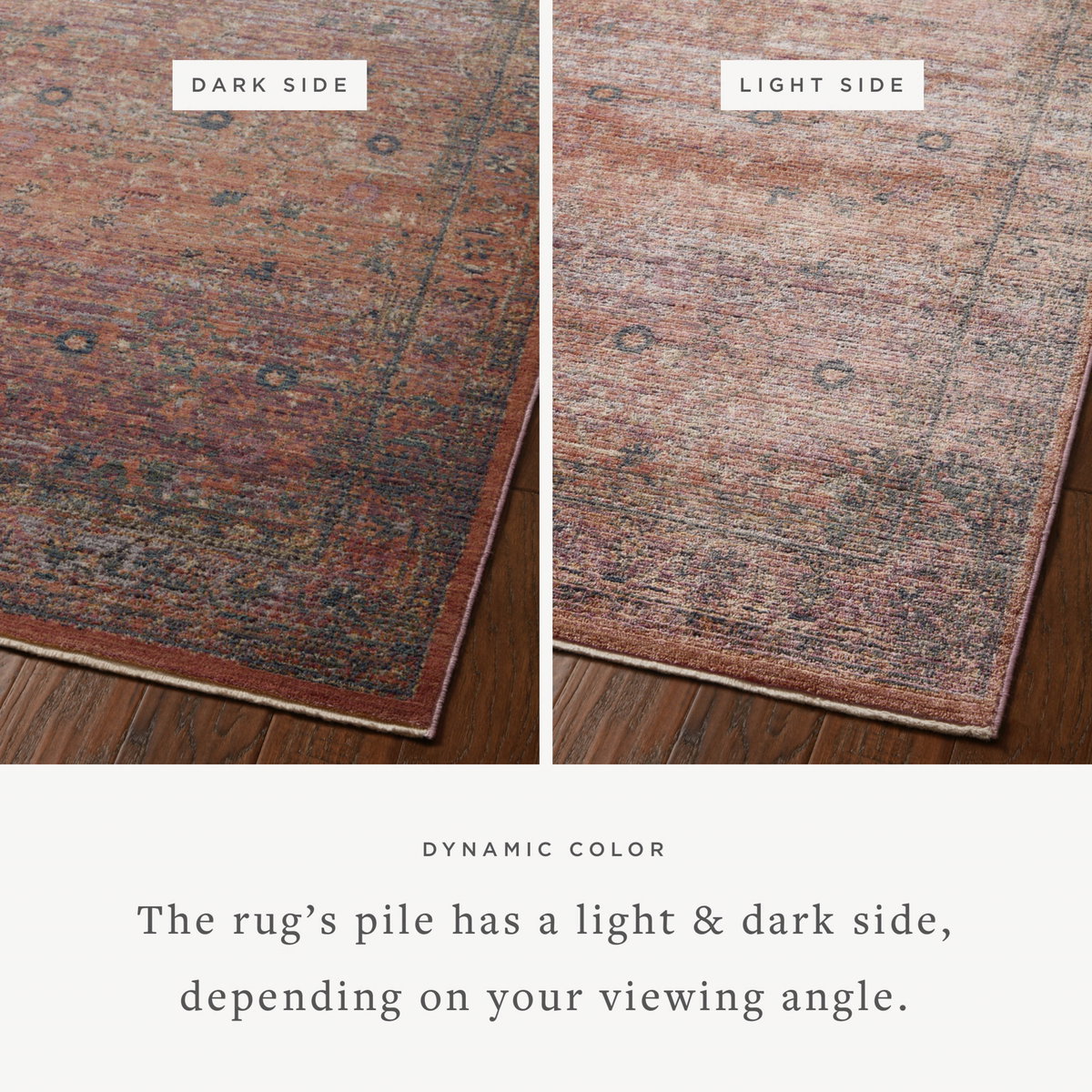 Jean Stoffer x Loloi Bradbury Rug, 5' length x 7'10" width View 5