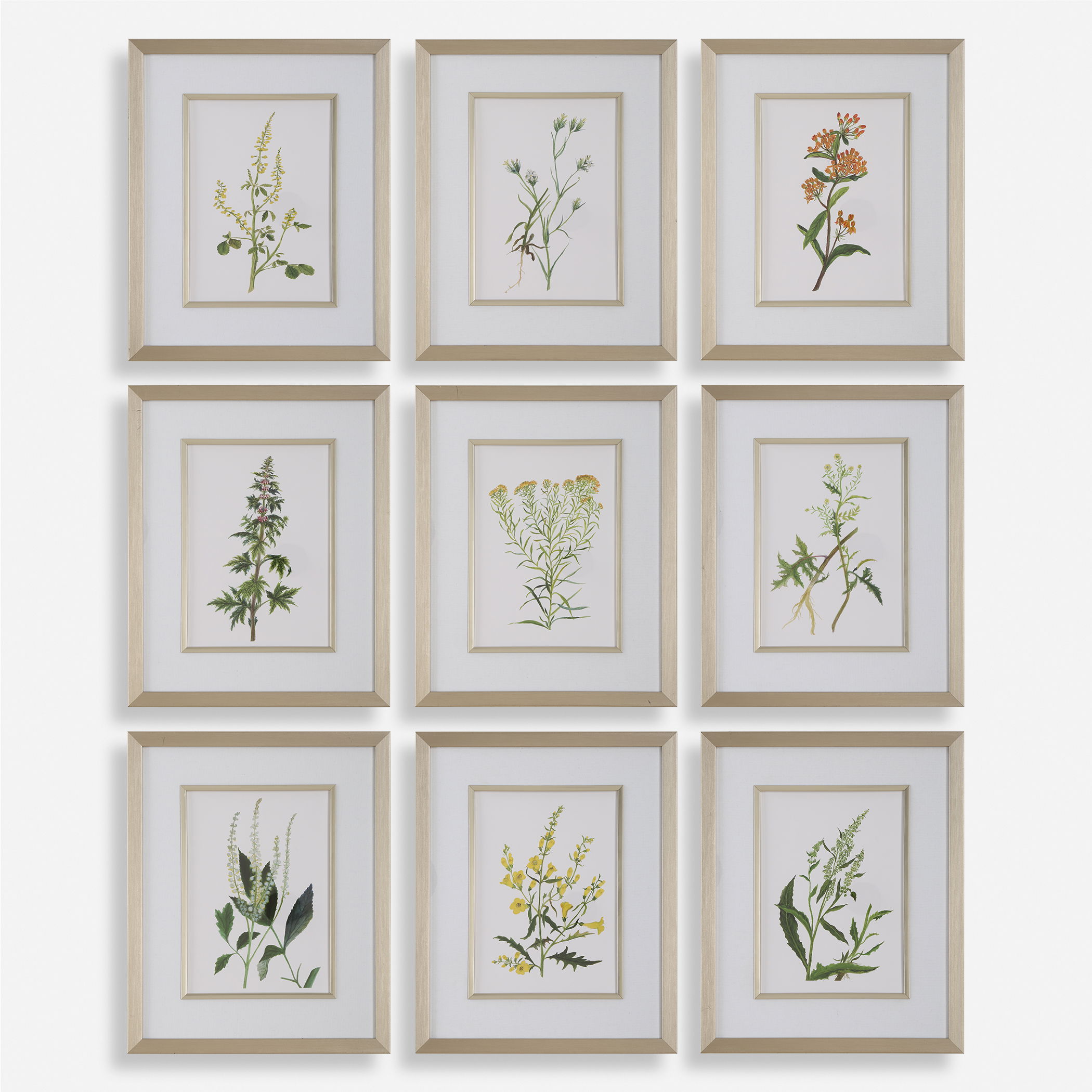 Botanical Flowers Framed Prints, S/9 large image 