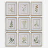 Botanical Flowers Framed Prints, S/9 thumbnail 0