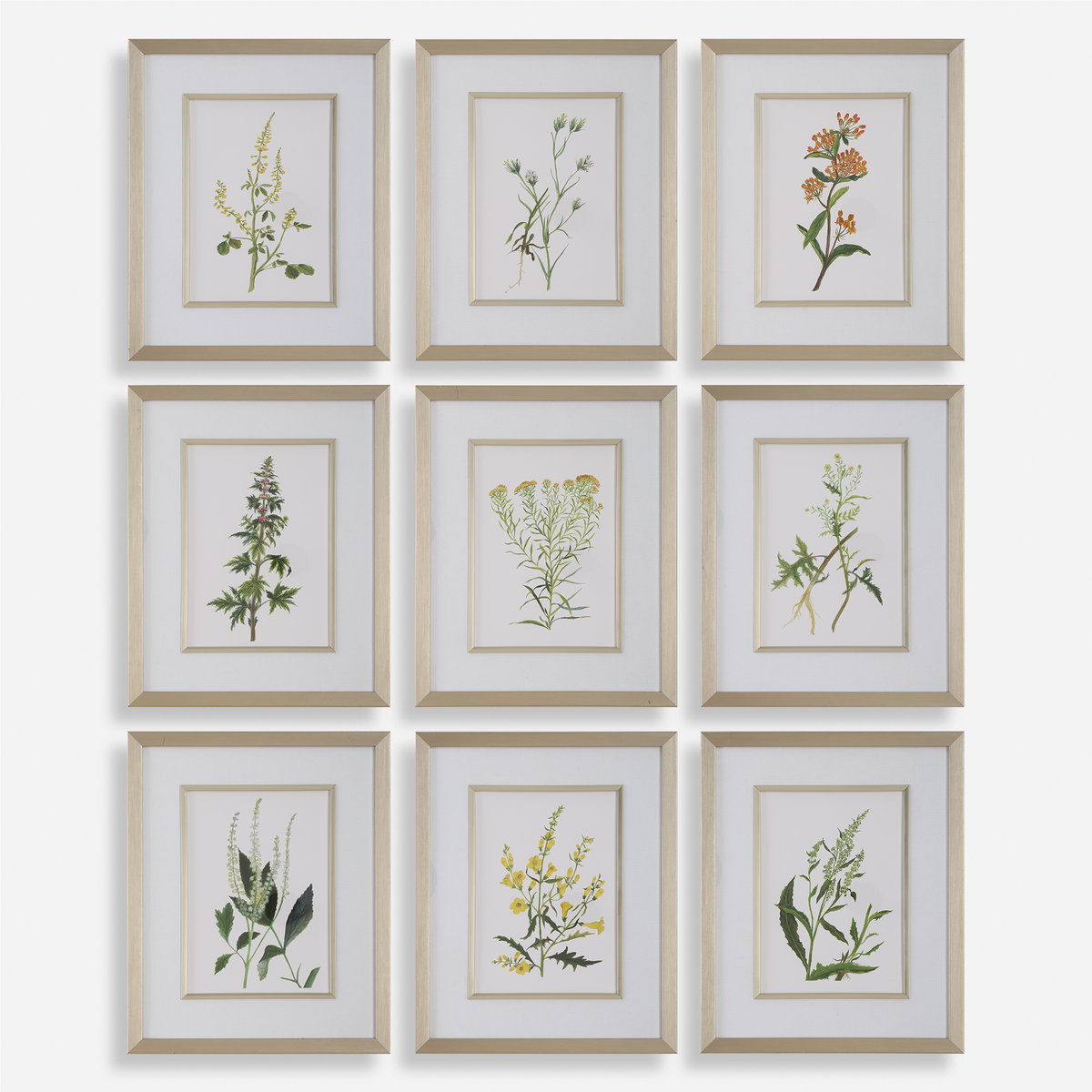 Botanical Flowers Framed Prints Set/9, Art by Uttermost, 17.37" width x 21.37" height x 2.12" depth View 1
