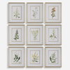 Botanical Flowers Framed Prints Set/9, Art by Uttermost, 17.37" width x 21.37" height x 2.12" depth thumbnail 1