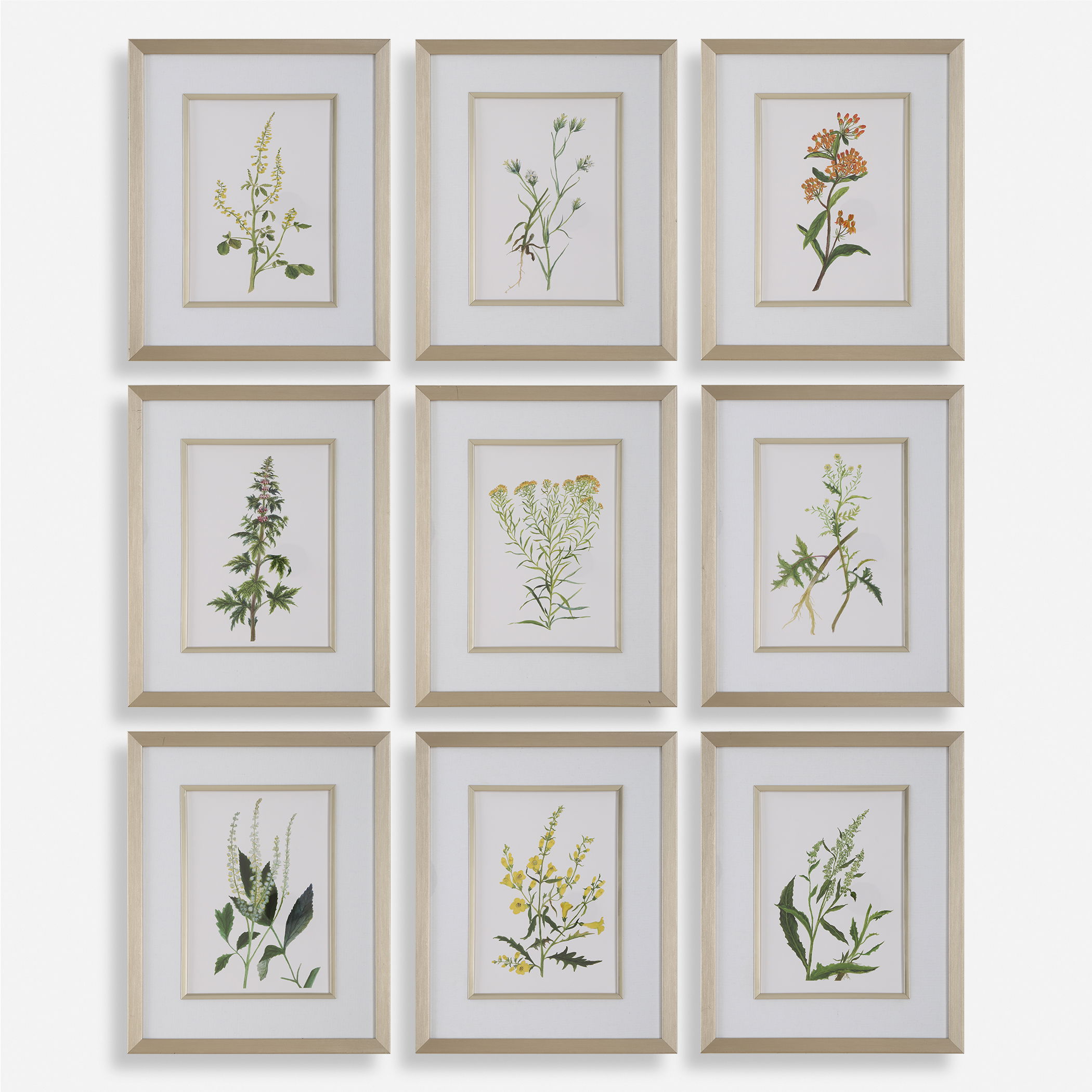 Botanical Flowers Framed Prints Set/9, Painting by Uttermost, 17.37" width x 21.37" height x 2.12" depth View 1