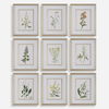 Botanical Flowers Framed Prints Set/9 0 Botanical Flowers Framed Prints Set/9 thumbnail 0