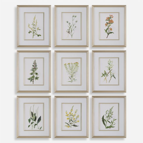 Botanical Flowers Framed Prints Set/9