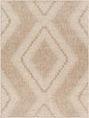 Tuareg Machine Woven Rug thumbnail 0
