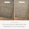 Loloi Briar Rug, 7'10" length x 7'10" width thumbnail 3