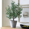 Marisol Potted Olive Plant, Decorative by Uttermost, 28.5" width x 45.25" height x 26.5" depth thumbnail 3
