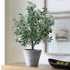 Marisol Potted Olive Plant, by Uttermost, 2'4.5" width x 3'9.25" height x 2'2.5" depth thumbnail 3