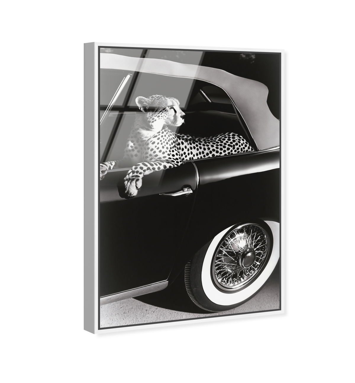 Convertible Feline I (No Embellishment), Art by Oliver Gal,  30x45 View 2