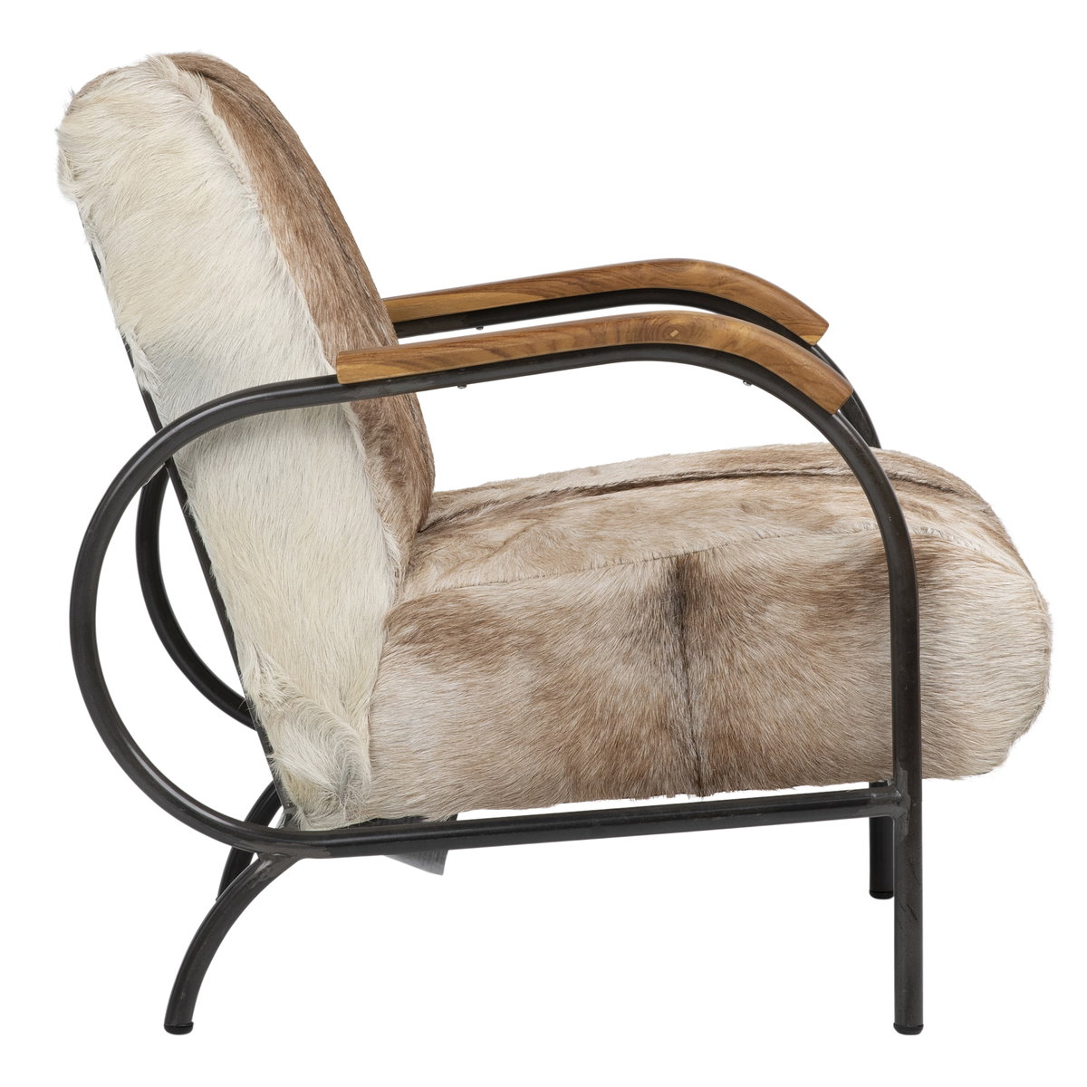 Laney Occasional Chair, Accent Chair by Dovetail, 23.5" width x 32" height x 31.5" depth View 3